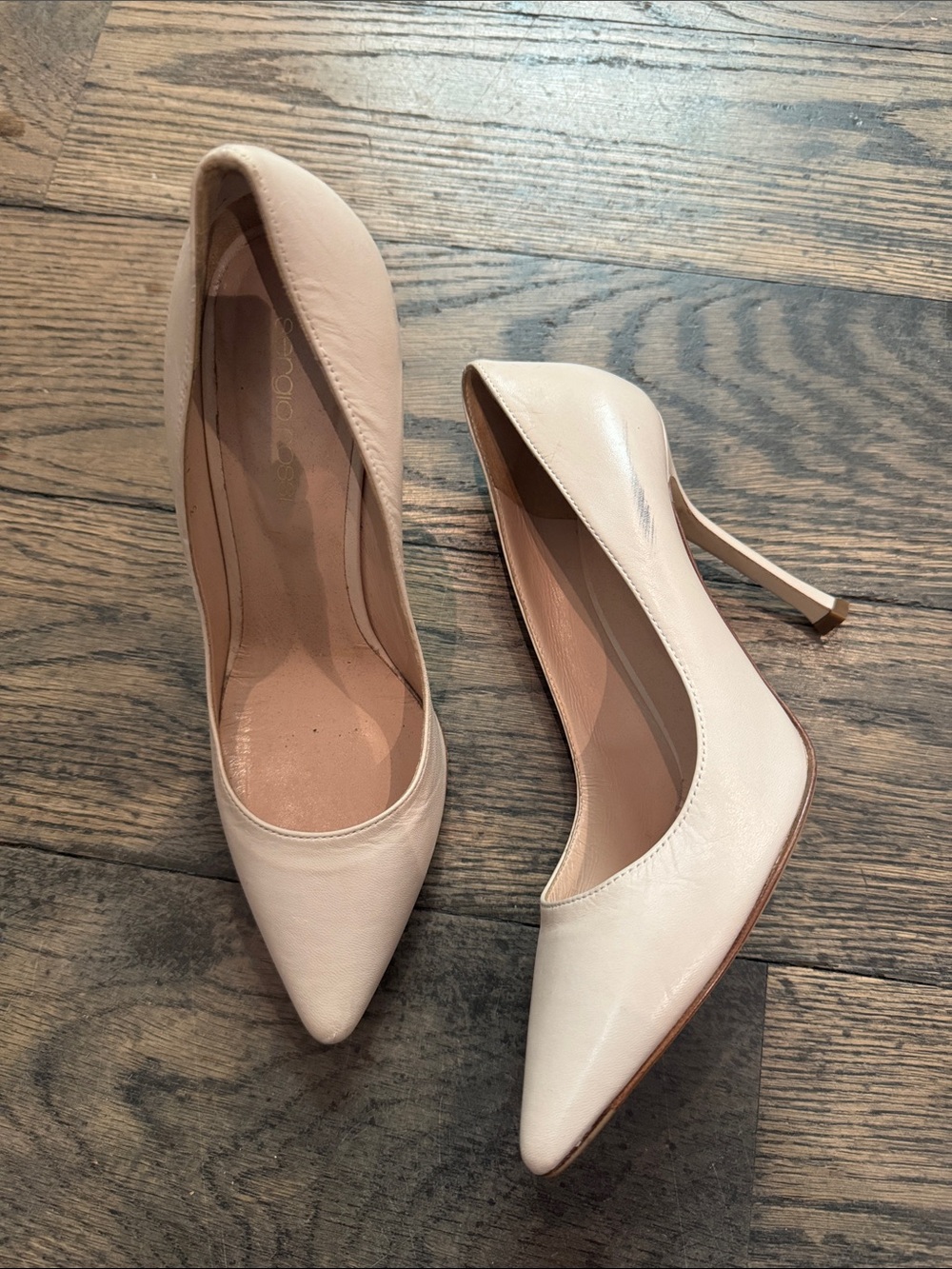 Sergio Rossi Pump